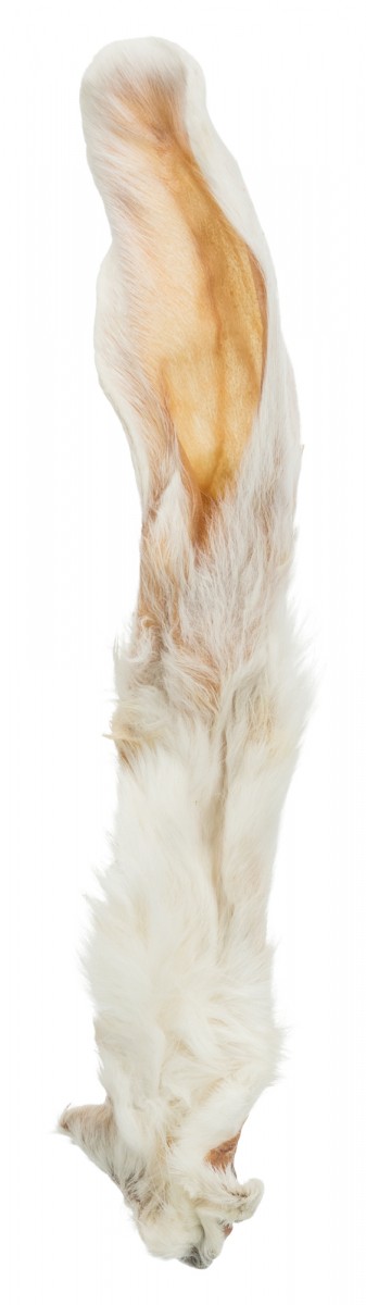 Oreja de conejo con pelo